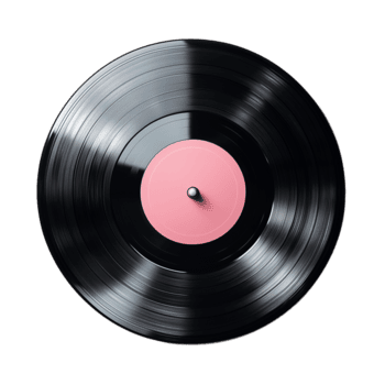 Vinyl Disc